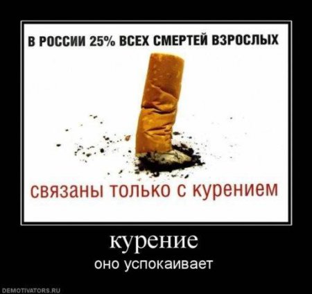 понс сигареты цена